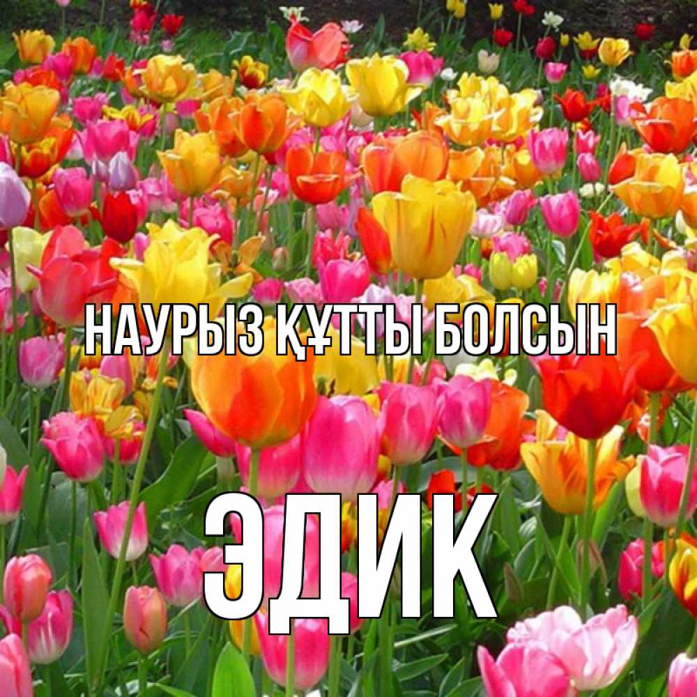 Күн сайын ашық хат с именем, Эдик Наурыз құтты болсын на наурыз  ура ура Онлайн тегін жүктеп алу тілектері бар керемет карта 