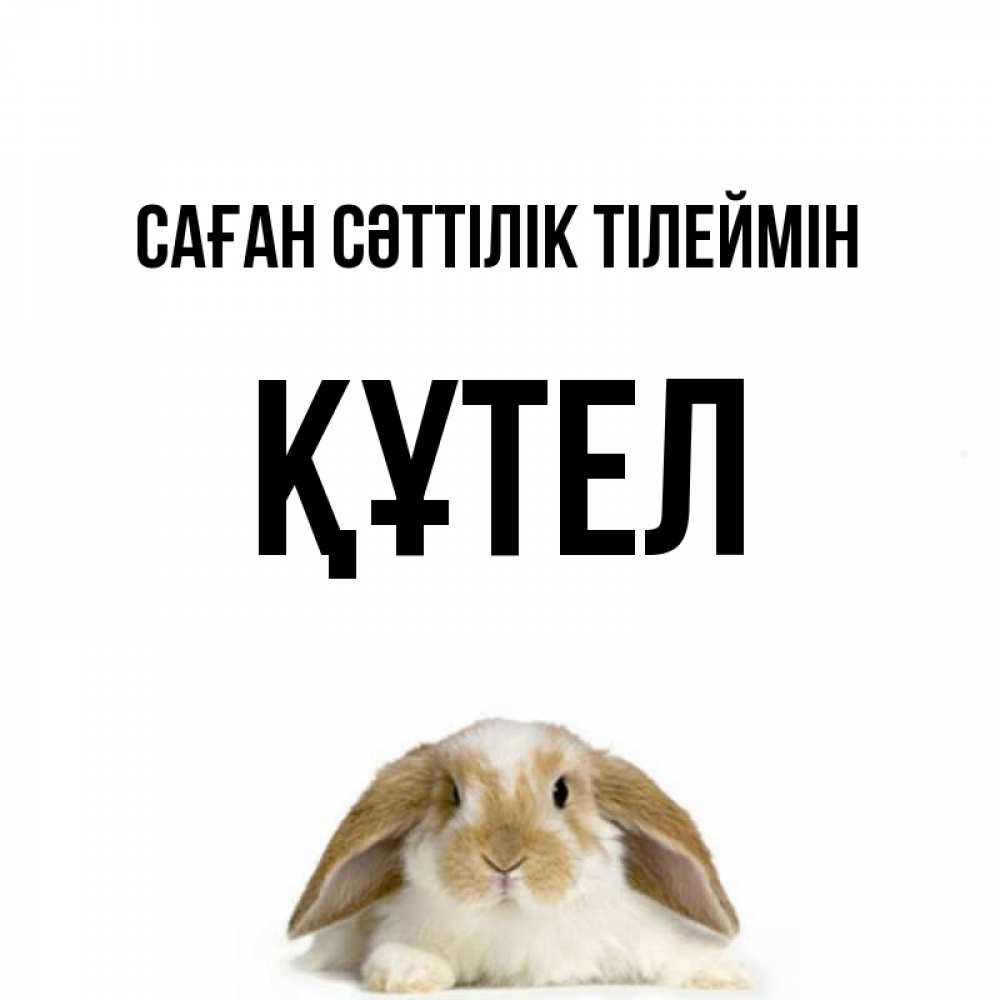 Күн сайын ашық хат с именем, ҚҰТЕЛ Саған сәттілік тілеймін открытки с произвольным текстом который можно вставить в открытку и создать ее самостоятельно бесплатно онлайн Онлайн тегін жүктеп алу тілектері бар керемет карта 