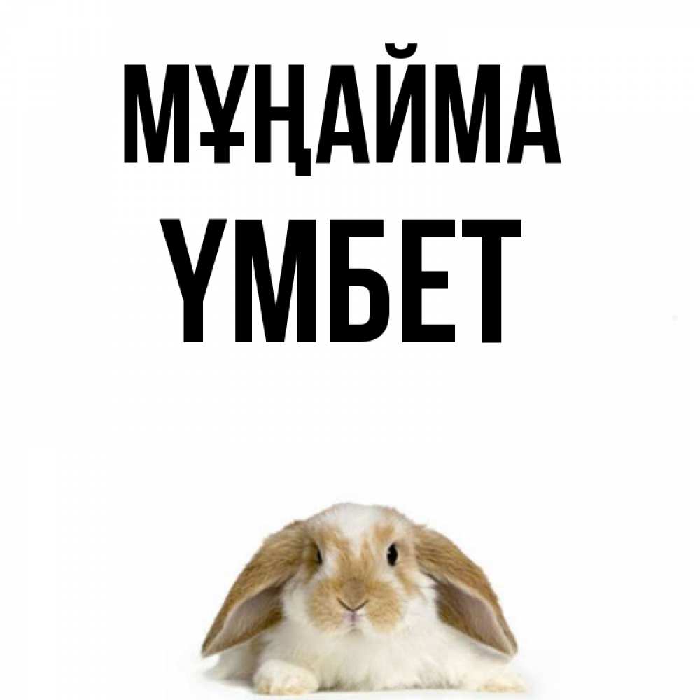 Күн сайын ашық хат с именем, ҮМБЕТ Мұңайма коричнево белый заяц с большими ушками Онлайн тегін жүктеп алу тілектері бар керемет карта 