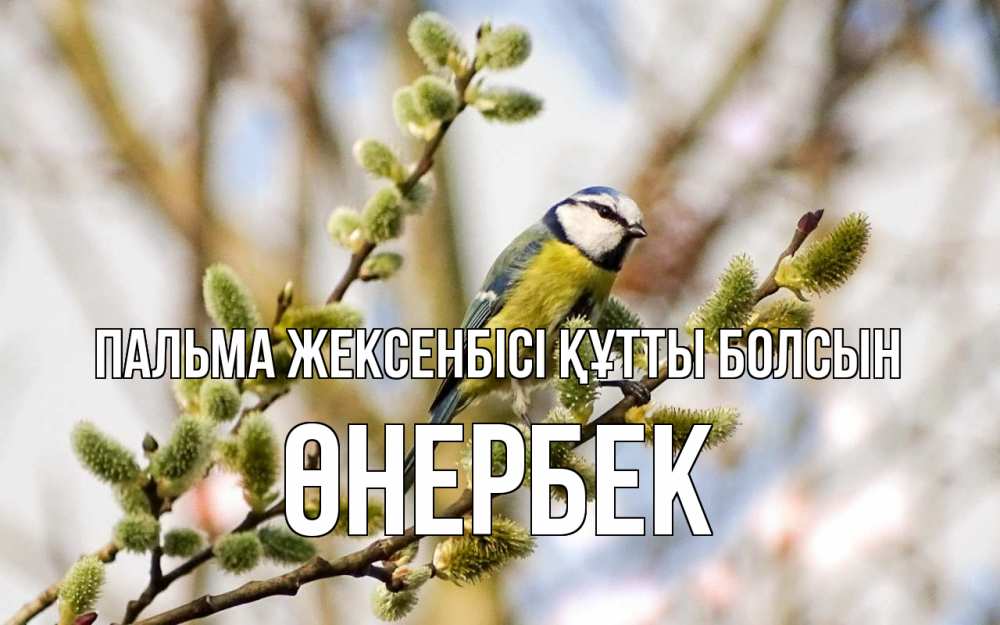 Күн сайын ашық хат с именем, ӨНЕРБЕК Пальма жексенбісі құтты болсын верба Онлайн тегін жүктеп алу тілектері бар керемет карта 