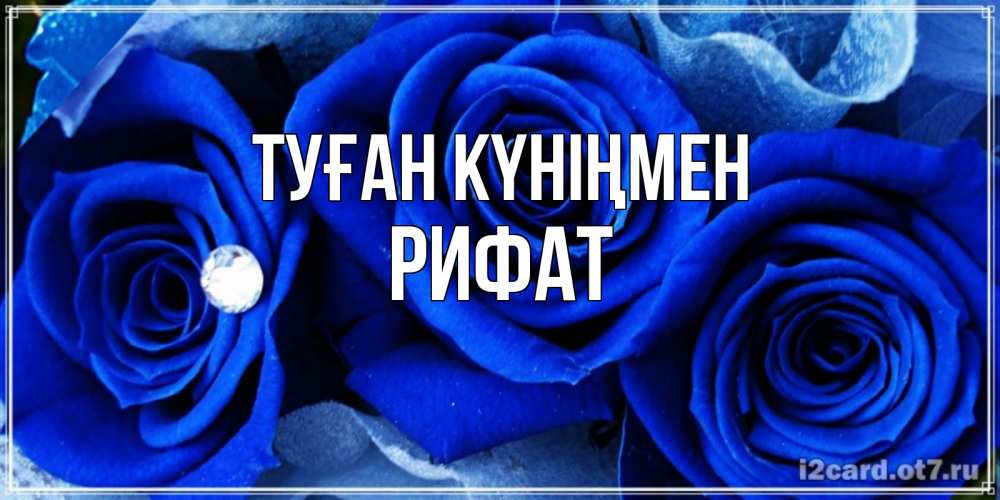 Күн сайын ашық хат с именем, Рифат Туған күніңмен синие розы в росе Онлайн тегін жүктеп алу тілектері бар керемет карта 