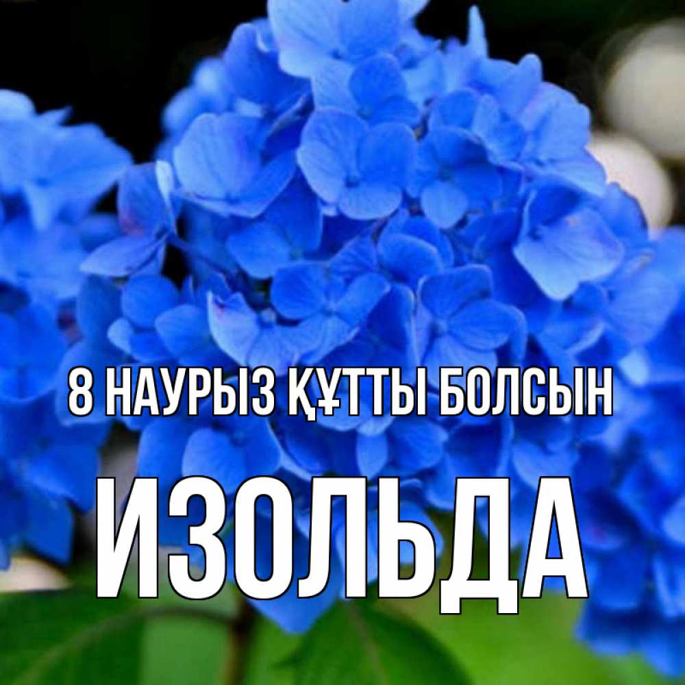 Күн сайын ашық хат с именем, Изольда 8 наурыз құтты болсын синие цветы Онлайн тегін жүктеп алу тілектері бар керемет карта 