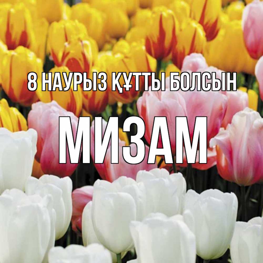 Күн сайын ашық хат с именем, МИЗАМ 8 наурыз құтты болсын разноцветные цветы Онлайн тегін жүктеп алу тілектері бар керемет карта 