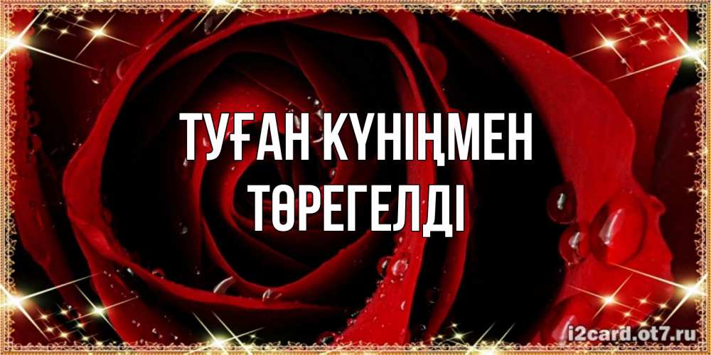 Күн сайын ашық хат с именем, Төрегелді Туған күніңмен цветок в росе на день рождения Онлайн тегін жүктеп алу тілектері бар керемет карта 