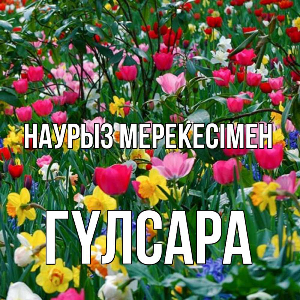 Күн сайын ашық хат с именем, ГҮЛСАРА Наурыз мерекесімен с наурызом праздником весны поздравления для женщины Онлайн тегін жүктеп алу тілектері бар керемет карта 