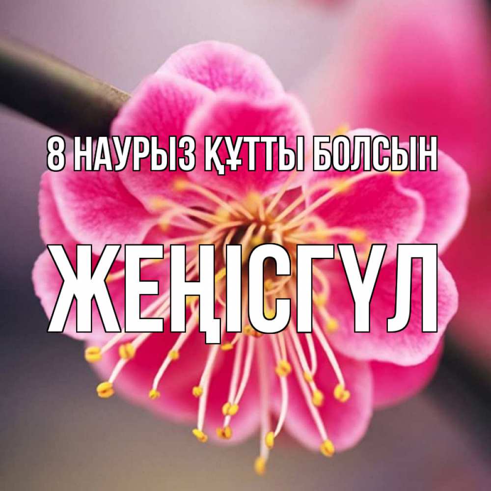 Күн сайын ашық хат с именем, ЖЕҢІСГҮЛ 8 наурыз құтты болсын цветы Онлайн тегін жүктеп алу тілектері бар керемет карта 