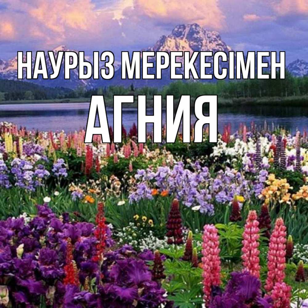 Күн сайын ашық хат с именем, Агния Наурыз мерекесімен праздник весны наурыз Онлайн тегін жүктеп алу тілектері бар керемет карта 