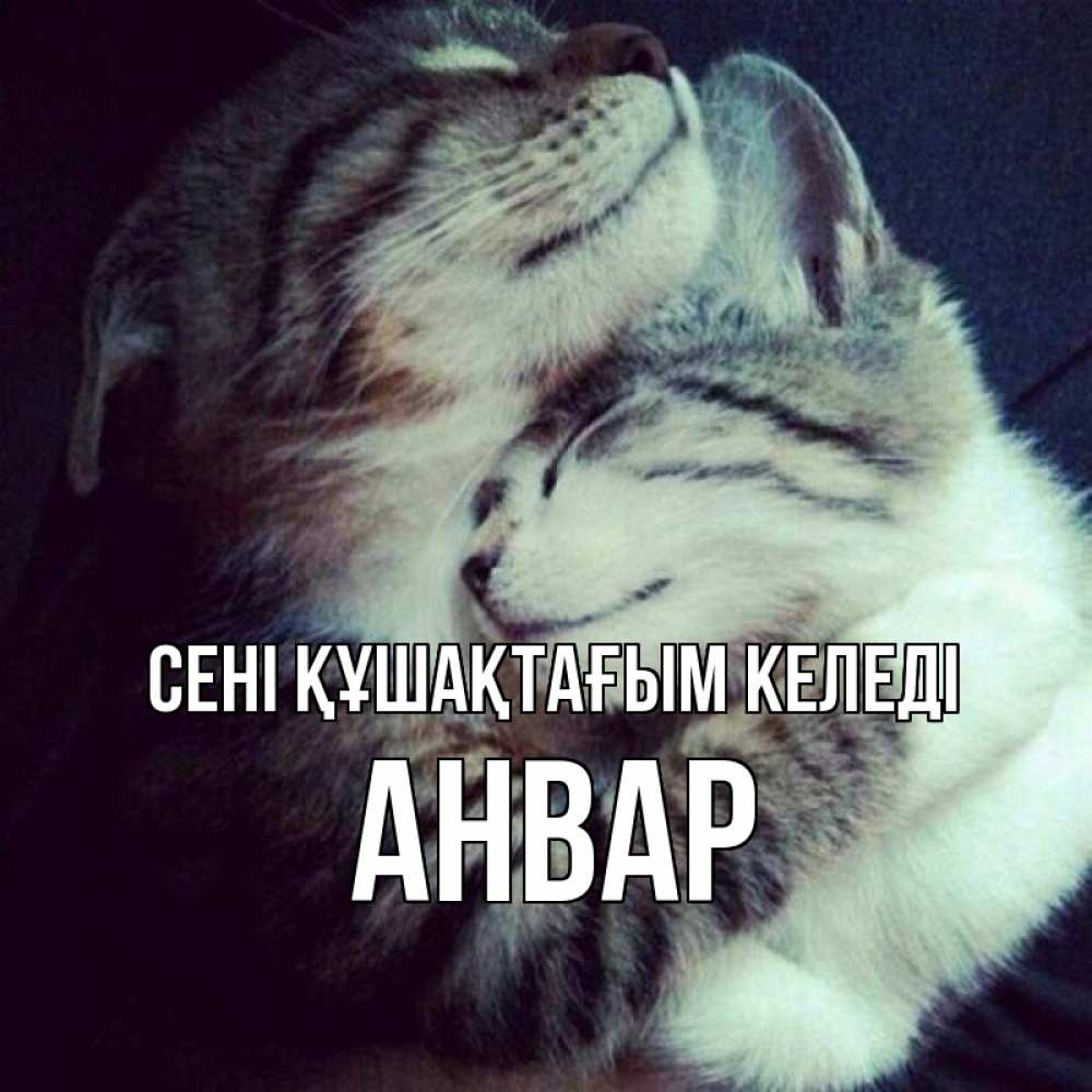 Күн сайын ашық хат с именем, Анвар сені құшақтағым келеді полосатики Онлайн тегін жүктеп алу тілектері бар керемет карта 