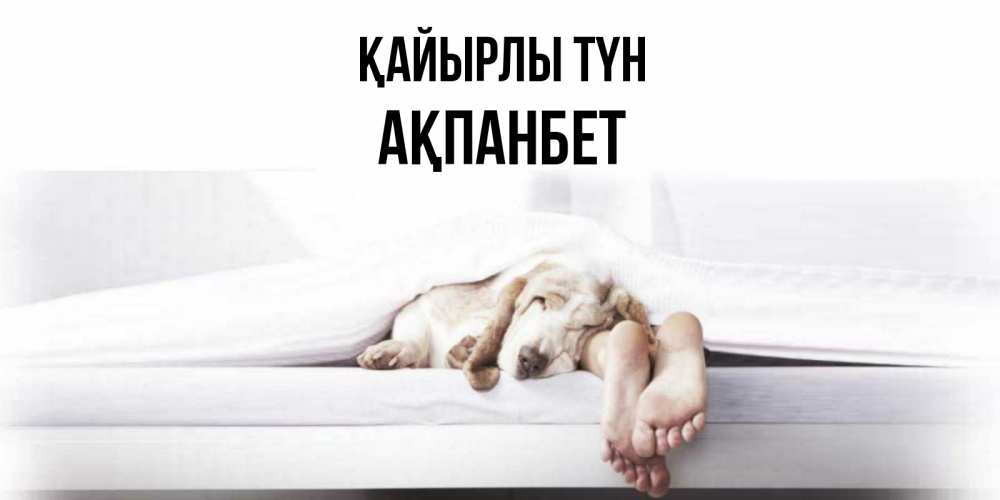 Күн сайын ашық хат с именем, Ақпанбет Қайырлы түн кровать с собакой пожелание сладких снов и спокойной ночи Онлайн тегін жүктеп алу тілектері бар керемет карта 