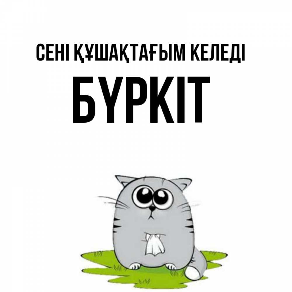 Күн сайын ашық хат с именем, Бүркіт сені құшақтағым келеді котик теребит платочек сидя на травке Онлайн тегін жүктеп алу тілектері бар керемет карта 