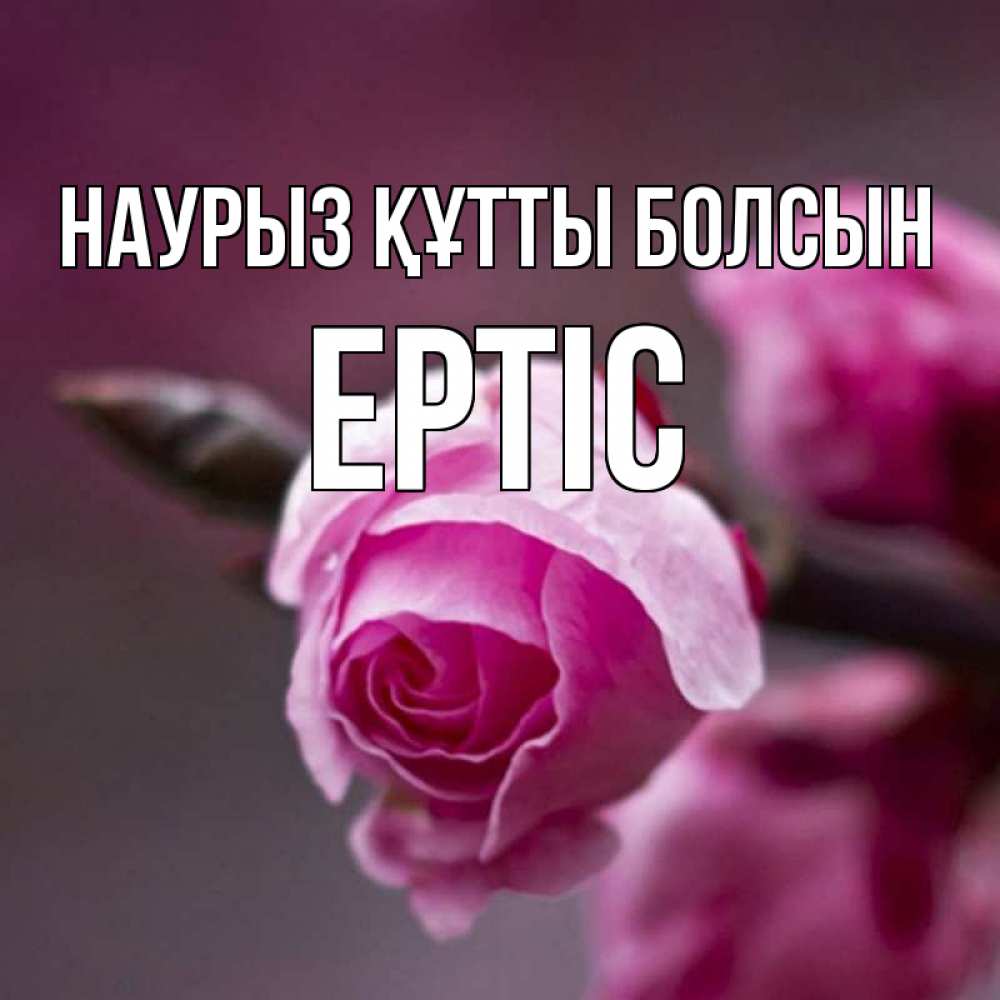 Күн сайын ашық хат с именем, Ертіс Наурыз құтты болсын весна Онлайн тегін жүктеп алу тілектері бар керемет карта 