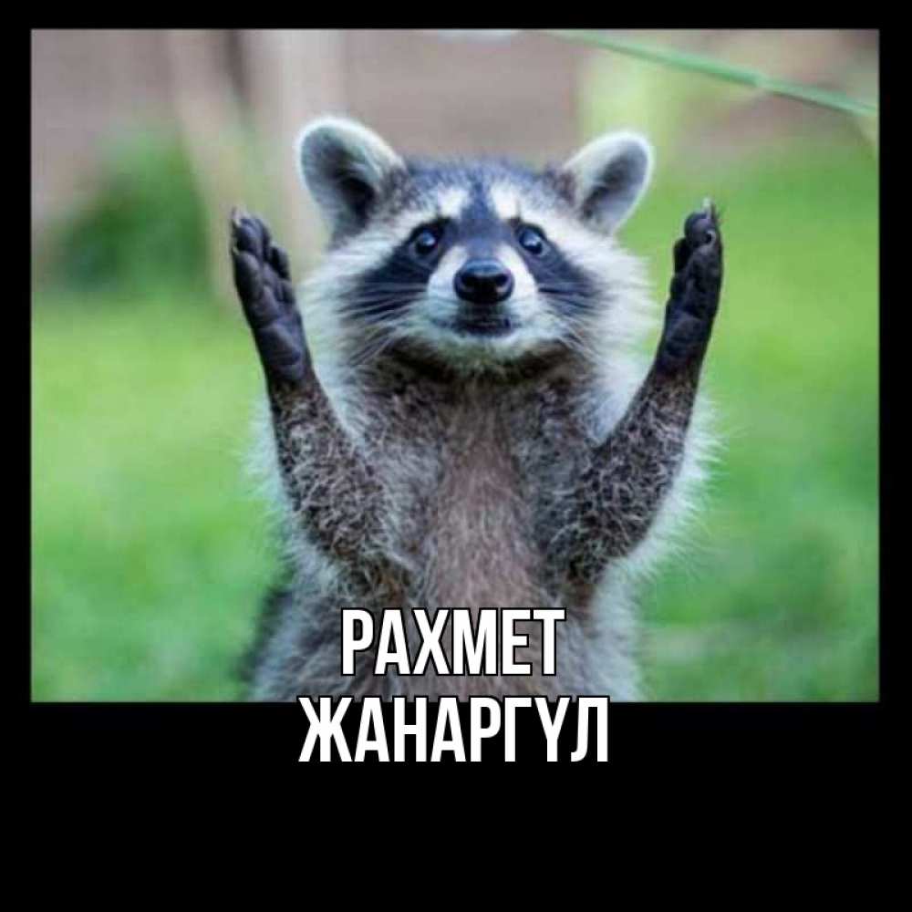 Күн сайын ашық хат с именем, ЖАНАРГҮЛ рахмет милые животные Онлайн тегін жүктеп алу тілектері бар керемет карта 