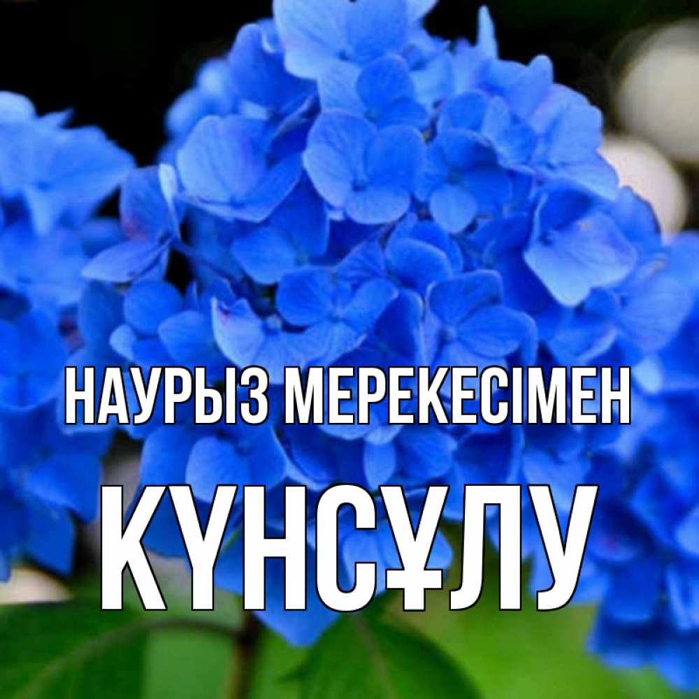 Күн сайын ашық хат с именем, КҮНСҰЛУ Наурыз мерекесімен синие цветы Онлайн тегін жүктеп алу тілектері бар керемет карта 