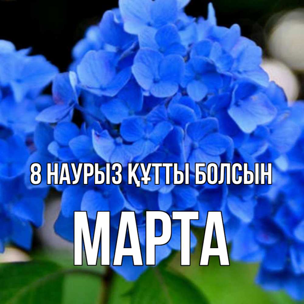 Күн сайын ашық хат с именем, Марта 8 наурыз құтты болсын синие цветы Онлайн тегін жүктеп алу тілектері бар керемет карта 