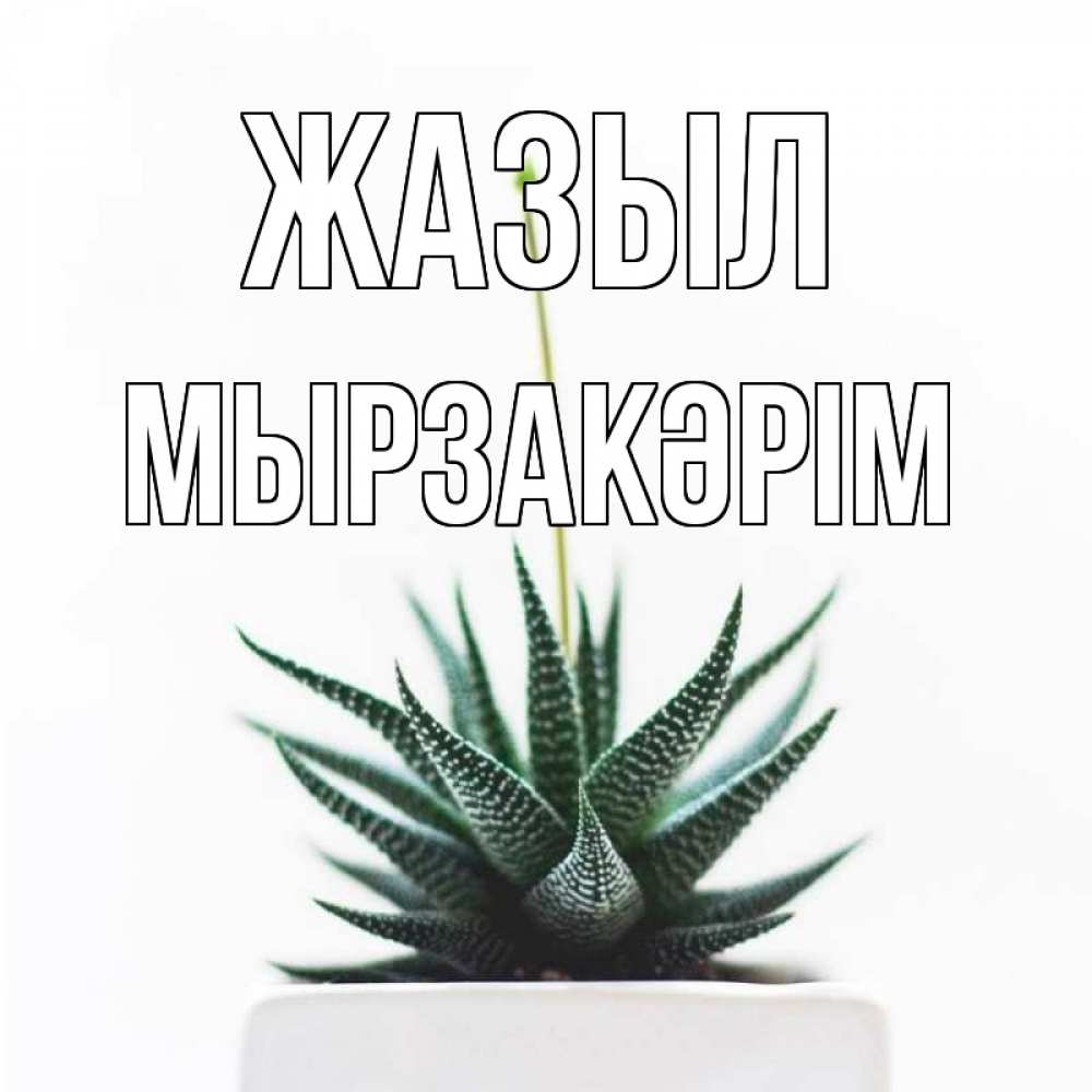 Күн сайын ашық хат с именем, Мырзакәрім Жазыл короче это непонятная колючка Онлайн тегін жүктеп алу тілектері бар керемет карта 