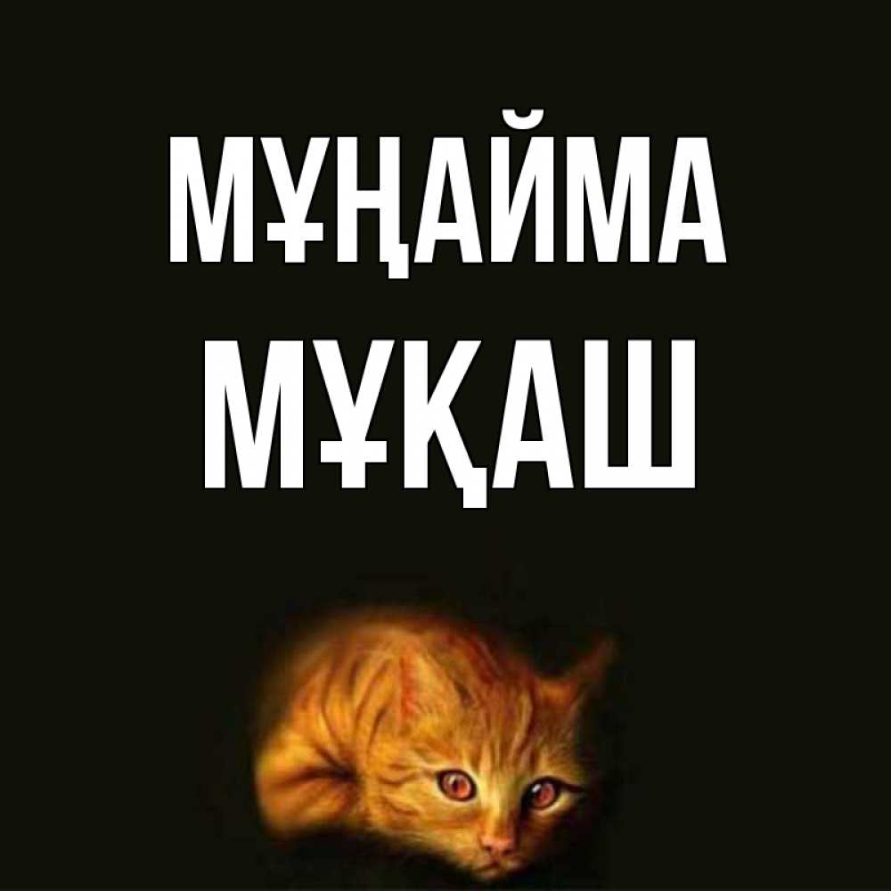 Күн сайын ашық хат с именем, Мұқаш Мұңайма лежащий кот в темноте Онлайн тегін жүктеп алу тілектері бар керемет карта 