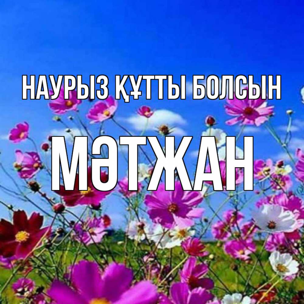 Күн сайын ашық хат с именем, МӘТЖАН Наурыз құтты болсын цветы Онлайн тегін жүктеп алу тілектері бар керемет карта 