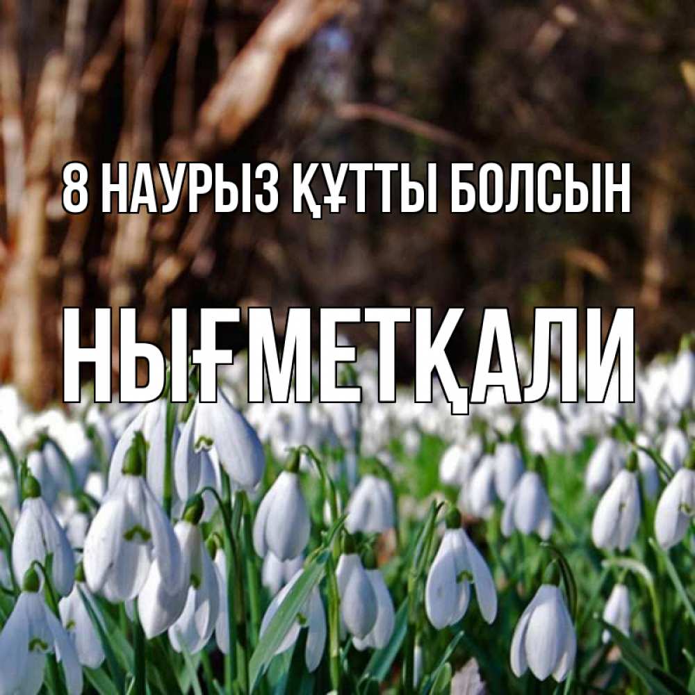 Күн сайын ашық хат с именем, НЫҒМЕТҚАЛИ 8 наурыз құтты болсын с подснежниками 1 Онлайн тегін жүктеп алу тілектері бар керемет карта 