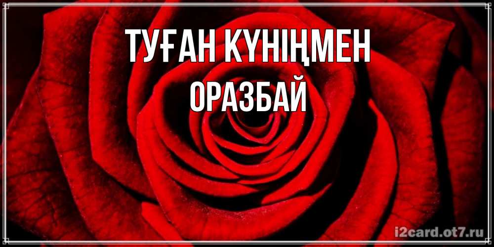 Күн сайын ашық хат с именем, ОРАЗБАЙ Туған күніңмен алая роза Онлайн тегін жүктеп алу тілектері бар керемет карта 