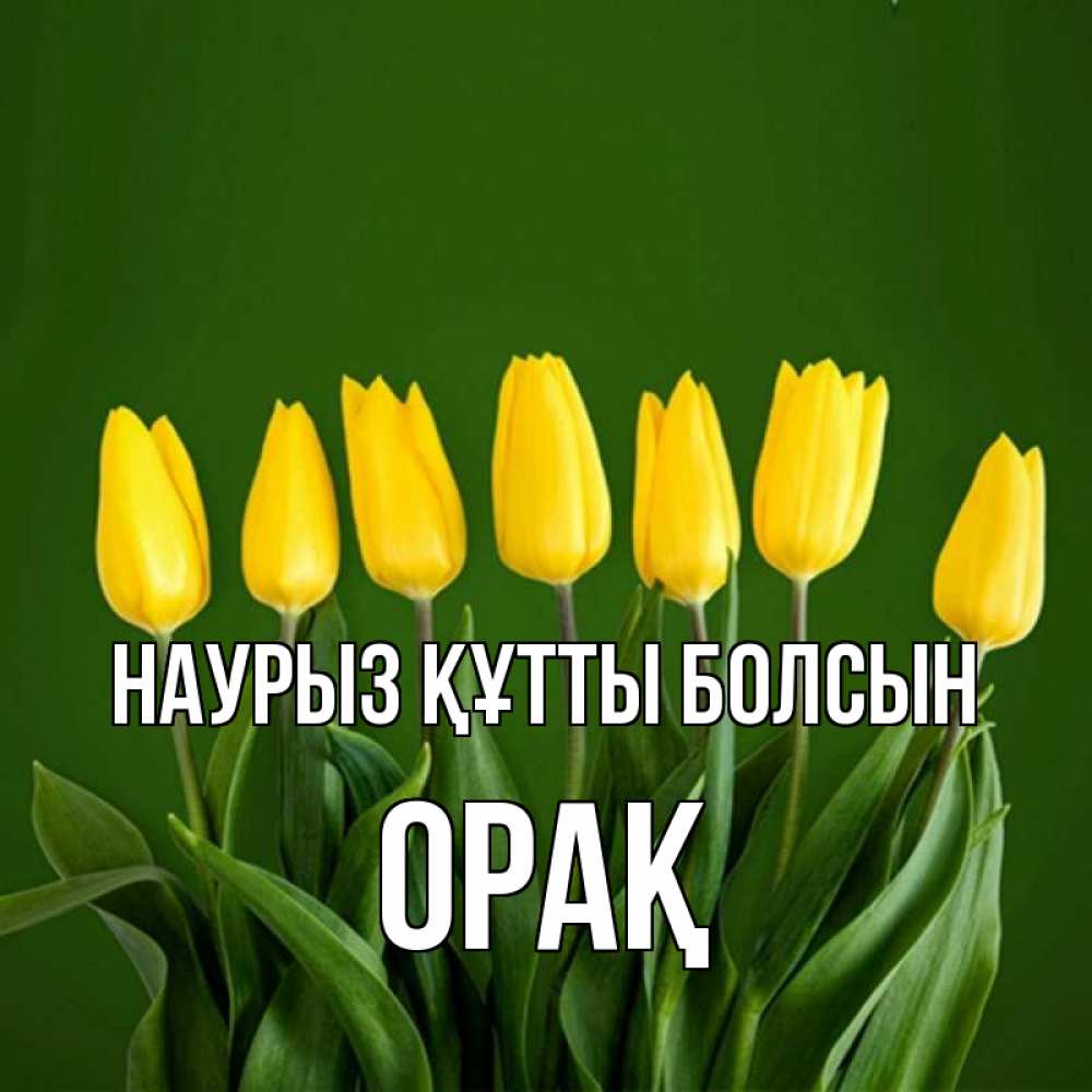 Күн сайын ашық хат с именем, ОРАҚ Наурыз құтты болсын желтого цвета 3 Онлайн тегін жүктеп алу тілектері бар керемет карта 