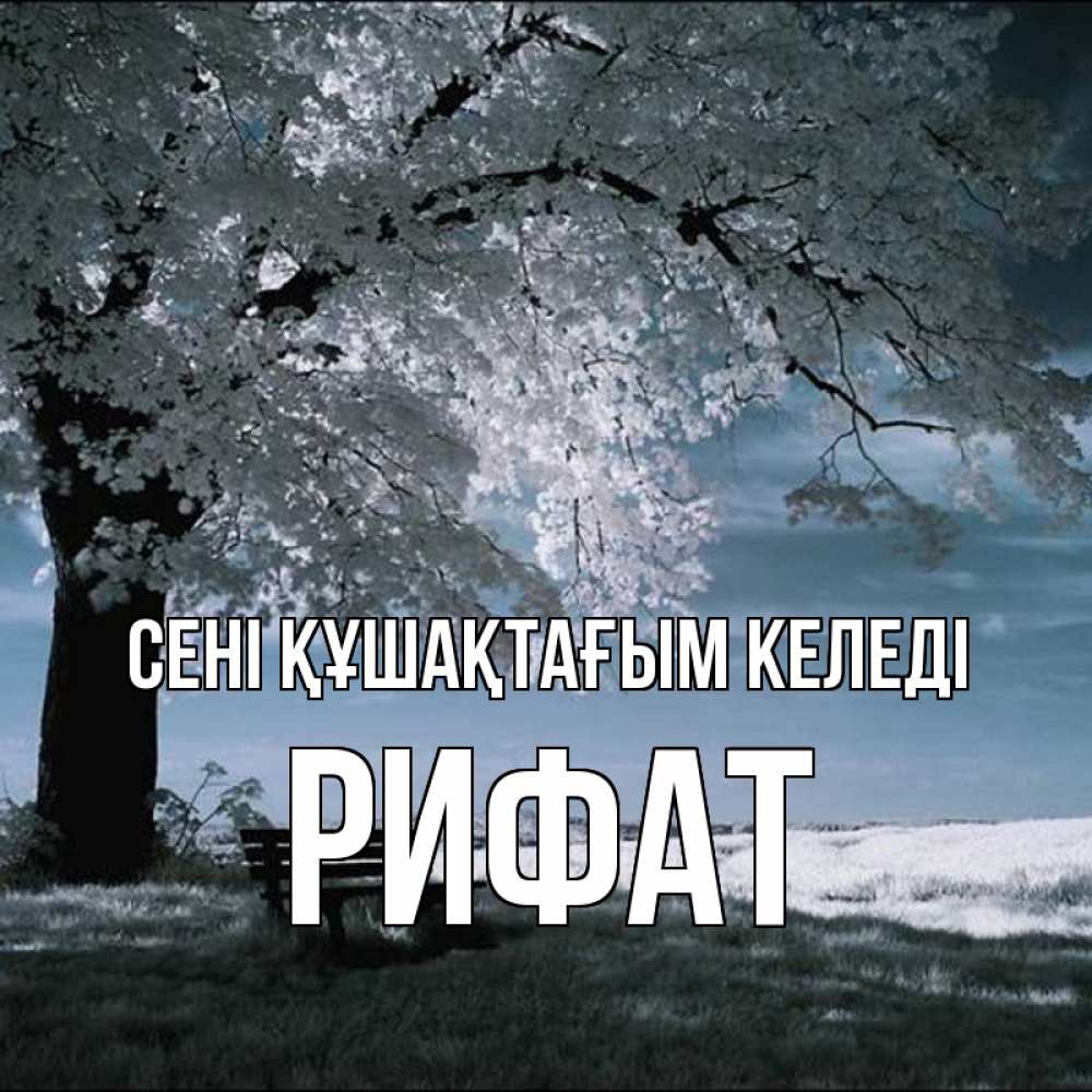 Күн сайын ашық хат с именем, Рифат сені құшақтағым келеді дерево Онлайн тегін жүктеп алу тілектері бар керемет карта 