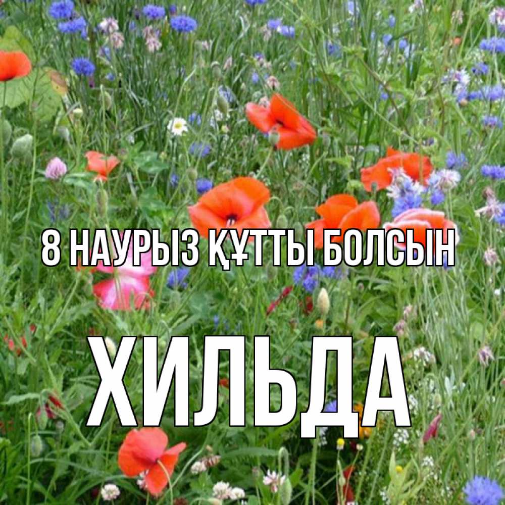 Күн сайын ашық хат с именем, Хильда 8 наурыз құтты болсын международный женский день 4 Онлайн тегін жүктеп алу тілектері бар керемет карта 