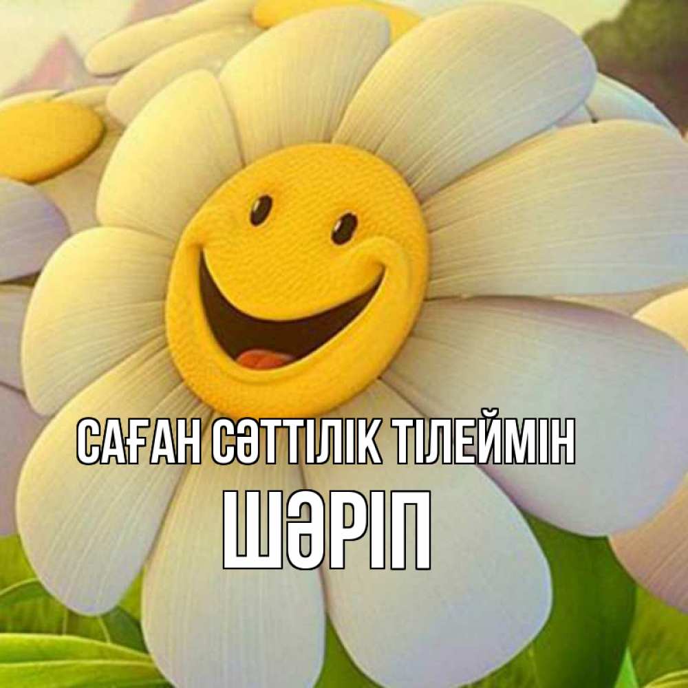 Күн сайын ашық хат с именем, ШӘРІП Саған сәттілік тілеймін подписать открытку своим текстом Онлайн тегін жүктеп алу тілектері бар керемет карта 