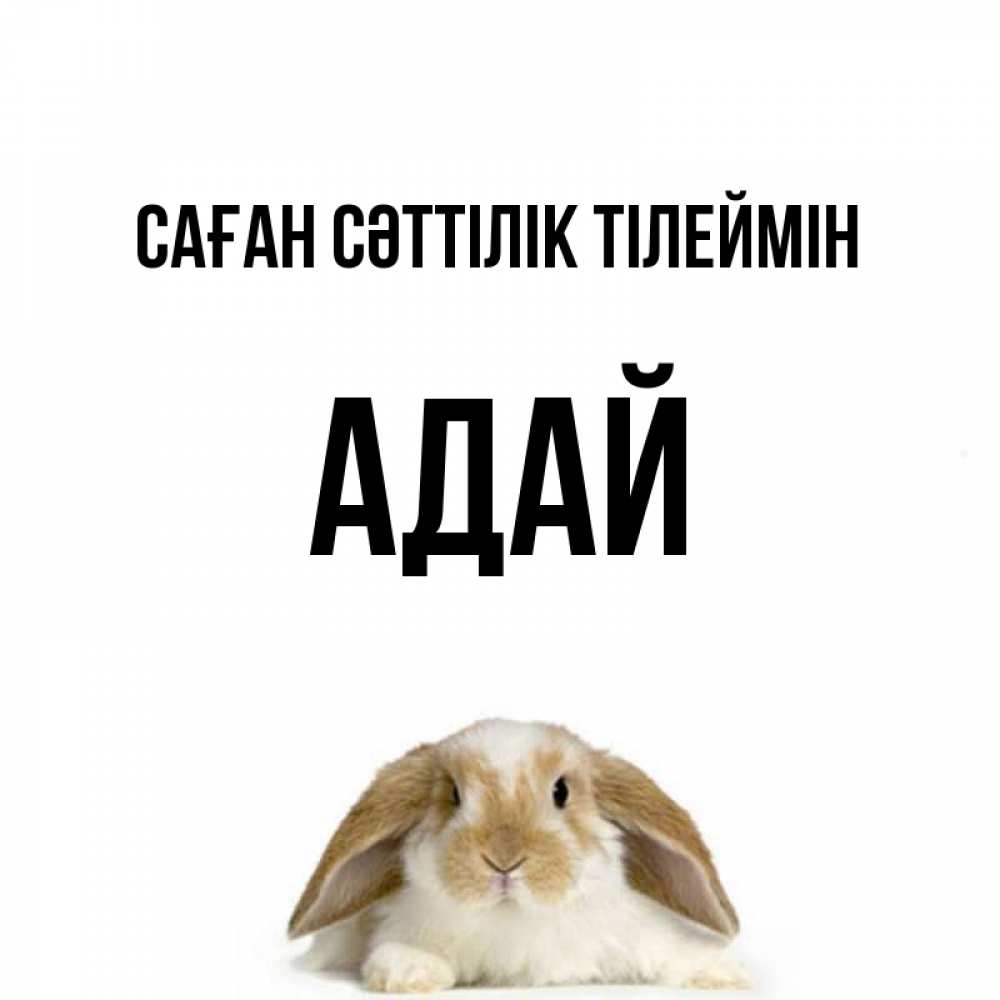 Күн сайын ашық хат с именем, Адай Саған сәттілік тілеймін открытки с произвольным текстом который можно вставить в открытку и создать ее самостоятельно бесплатно онлайн Онлайн тегін жүктеп алу тілектері бар керемет карта 