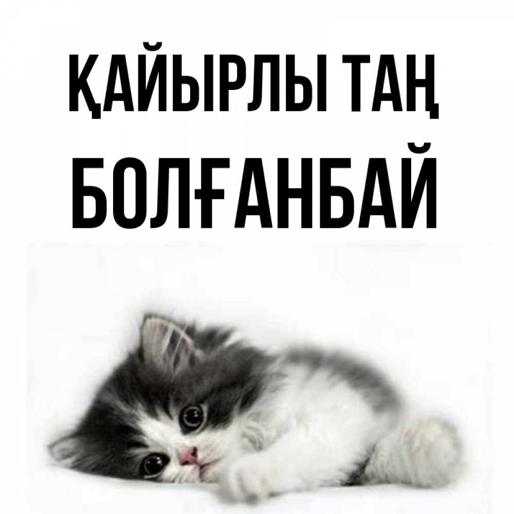 Күн сайын ашық хат с именем, Болғанбай Қайырлы таң кот лапки Онлайн тегін жүктеп алу тілектері бар керемет карта 