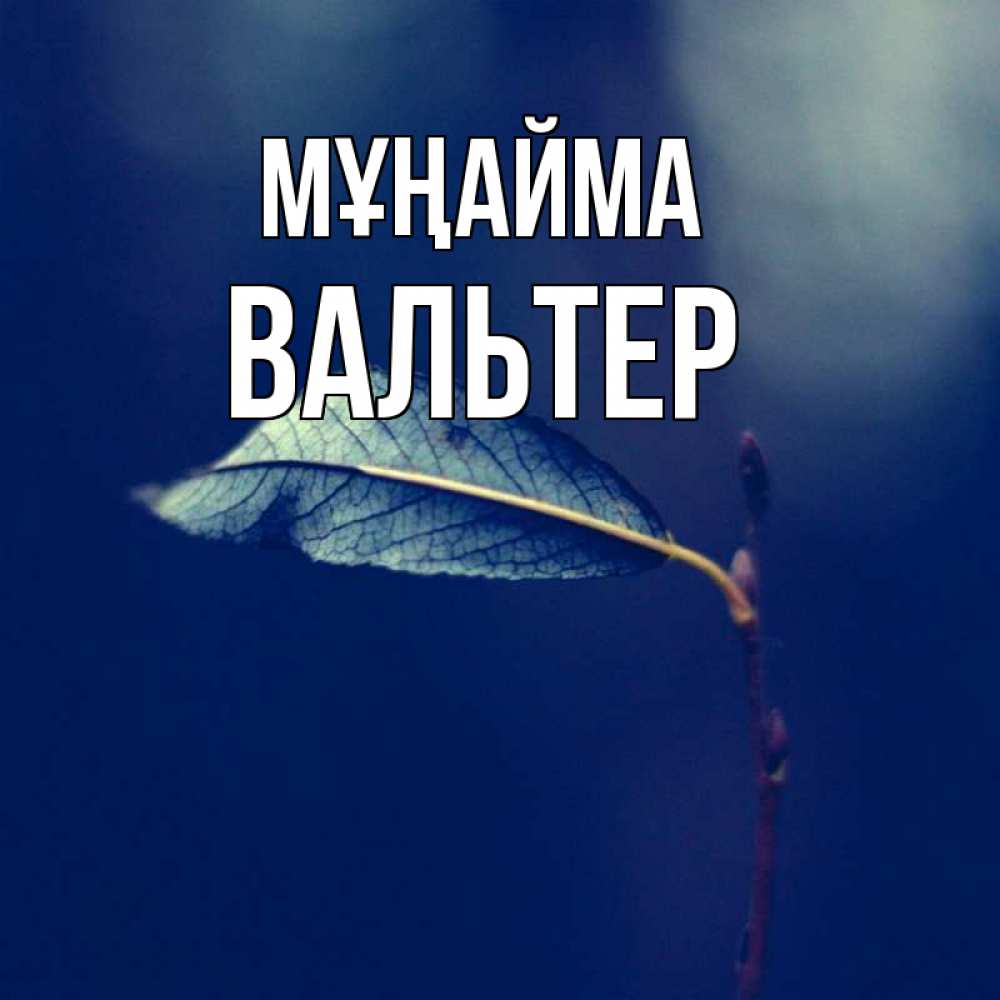 Күн сайын ашық хат с именем, Вальтер Мұңайма растение Онлайн тегін жүктеп алу тілектері бар керемет карта 