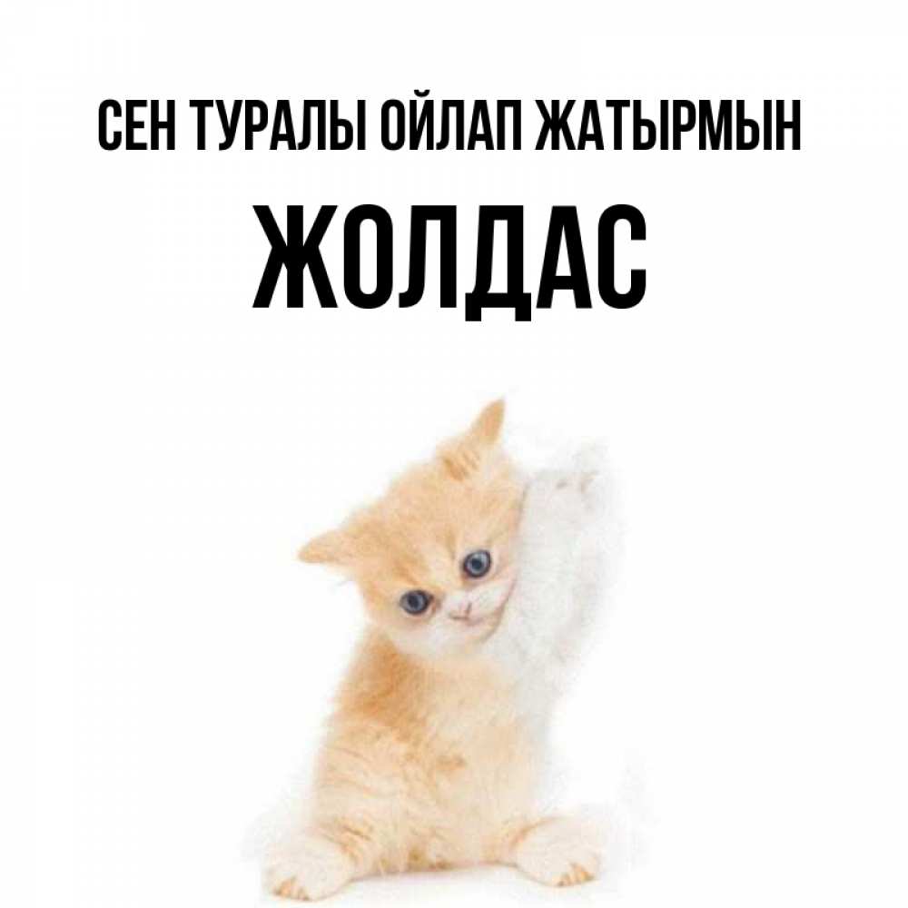 Күн сайын ашық хат с именем, Жолдас Сен туралы ойлап жатырмын зверушки и милота Онлайн тегін жүктеп алу тілектері бар керемет карта 