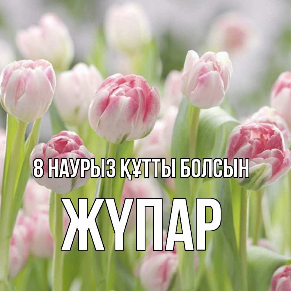 Күн сайын ашық хат с именем, ЖҮПАР 8 наурыз құтты болсын цветы Онлайн тегін жүктеп алу тілектері бар керемет карта 