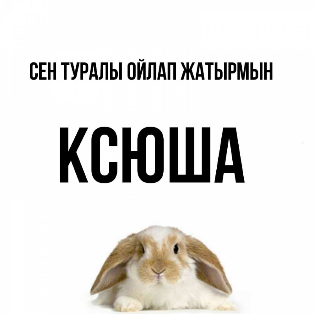 Күн сайын ашық хат с именем, Ксюша Сен туралы ойлап жатырмын подписать своими руками онлайн Онлайн тегін жүктеп алу тілектері бар керемет карта 