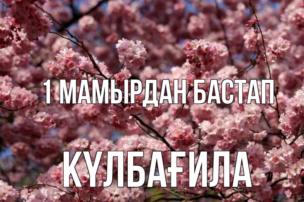 Күн сайын ашық хат с именем, КҮЛБАҒИЛА 1 мамырдан бастап С 1 мая Онлайн тегін жүктеп алу тілектері бар керемет карта 