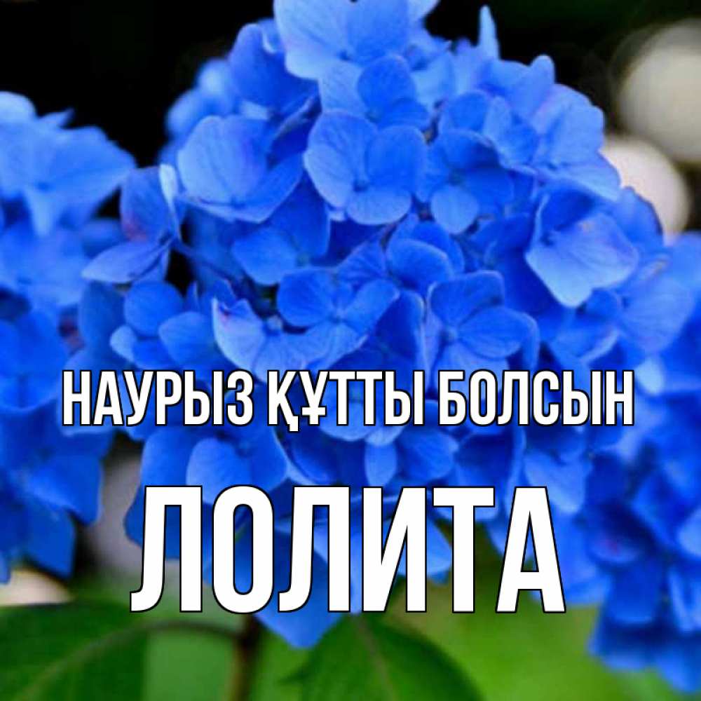 Күн сайын ашық хат с именем, Лолита Наурыз құтты болсын синие цветы Онлайн тегін жүктеп алу тілектері бар керемет карта 