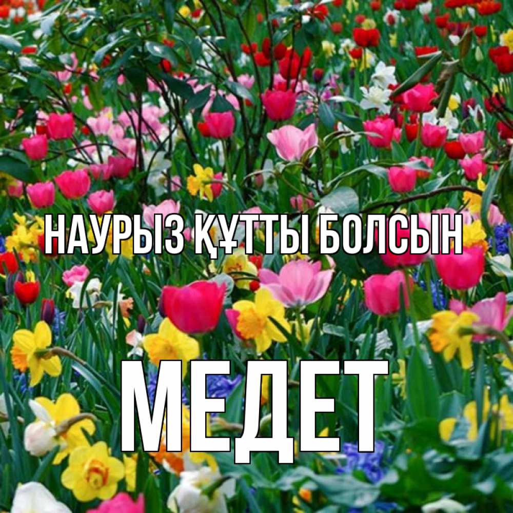 Күн сайын ашық хат с именем, МЕДЕТ Наурыз құтты болсын с наурызом поздравления для женщины Онлайн тегін жүктеп алу тілектері бар керемет карта 