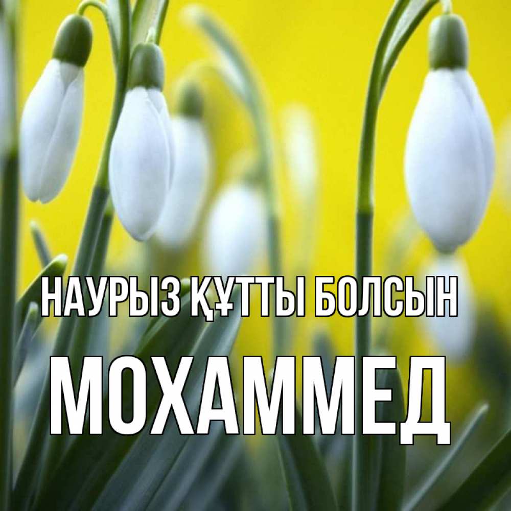 Күн сайын ашық хат с именем, Мохаммед Наурыз құтты болсын весенние цветы Онлайн тегін жүктеп алу тілектері бар керемет карта 