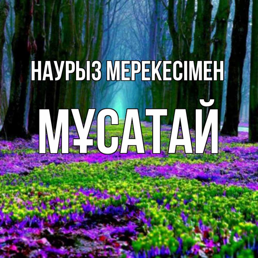 Күн сайын ашық хат с именем, Мұсатай Наурыз мерекесімен фиолетовые цветы в лесу 1 Онлайн тегін жүктеп алу тілектері бар керемет карта 