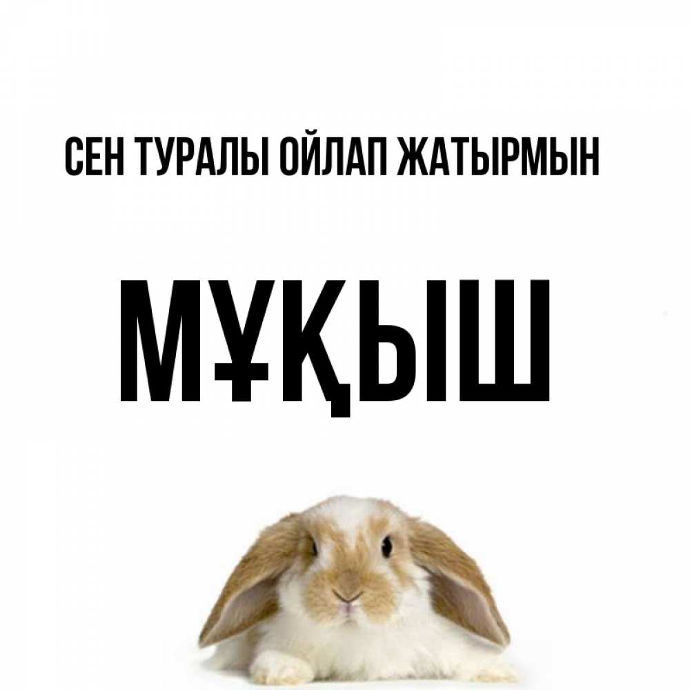 Күн сайын ашық хат с именем, Мұқыш Сен туралы ойлап жатырмын подписать своими руками онлайн Онлайн тегін жүктеп алу тілектері бар керемет карта 