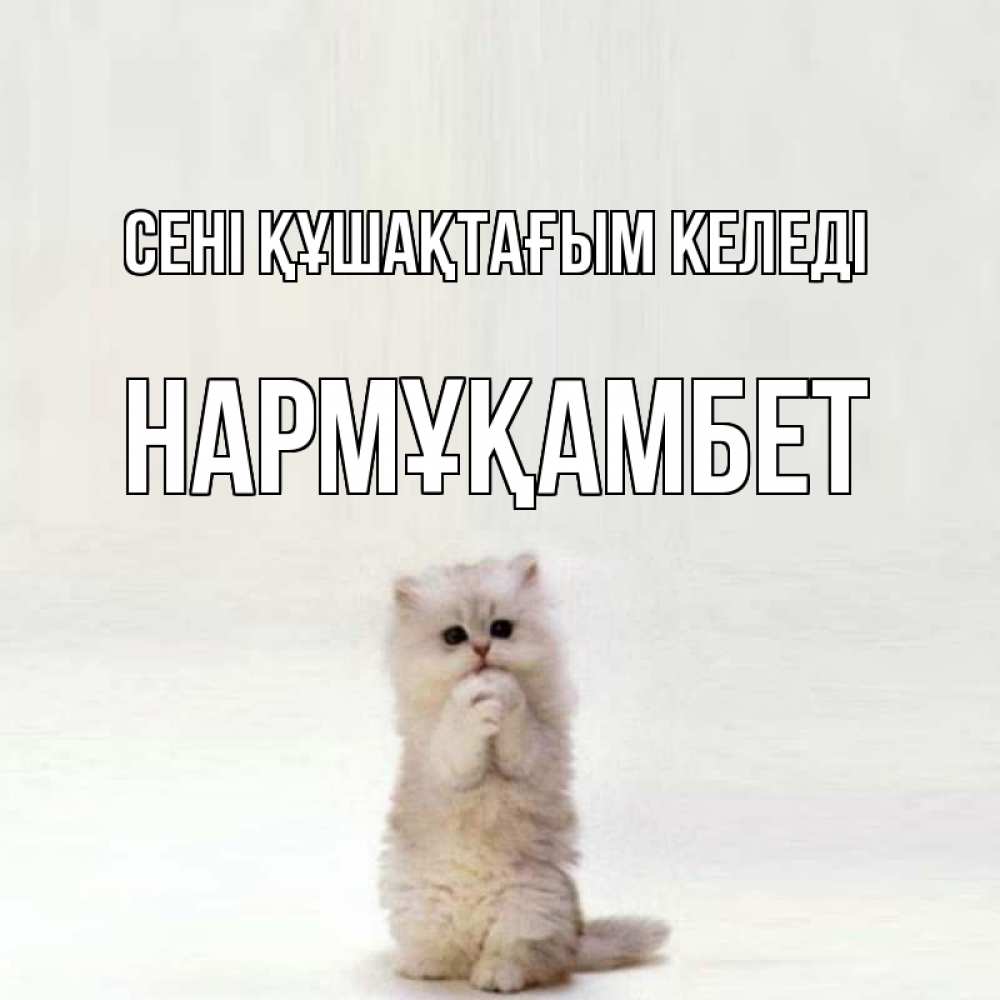Күн сайын ашық хат с именем, НАРМҰҚАМБЕТ сені құшақтағым келеді открытки с креативными подписями Онлайн тегін жүктеп алу тілектері бар керемет карта 