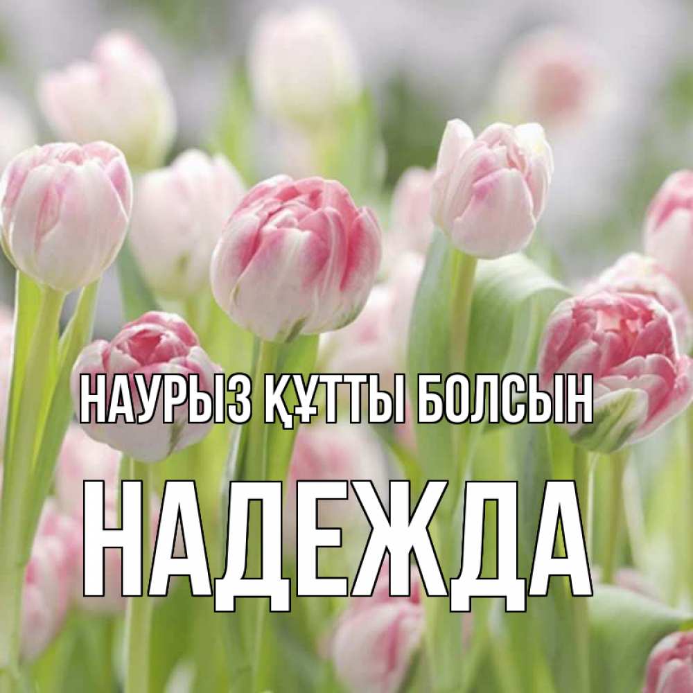Күн сайын ашық хат с именем, Надежда Наурыз құтты болсын цветы Онлайн тегін жүктеп алу тілектері бар керемет карта 