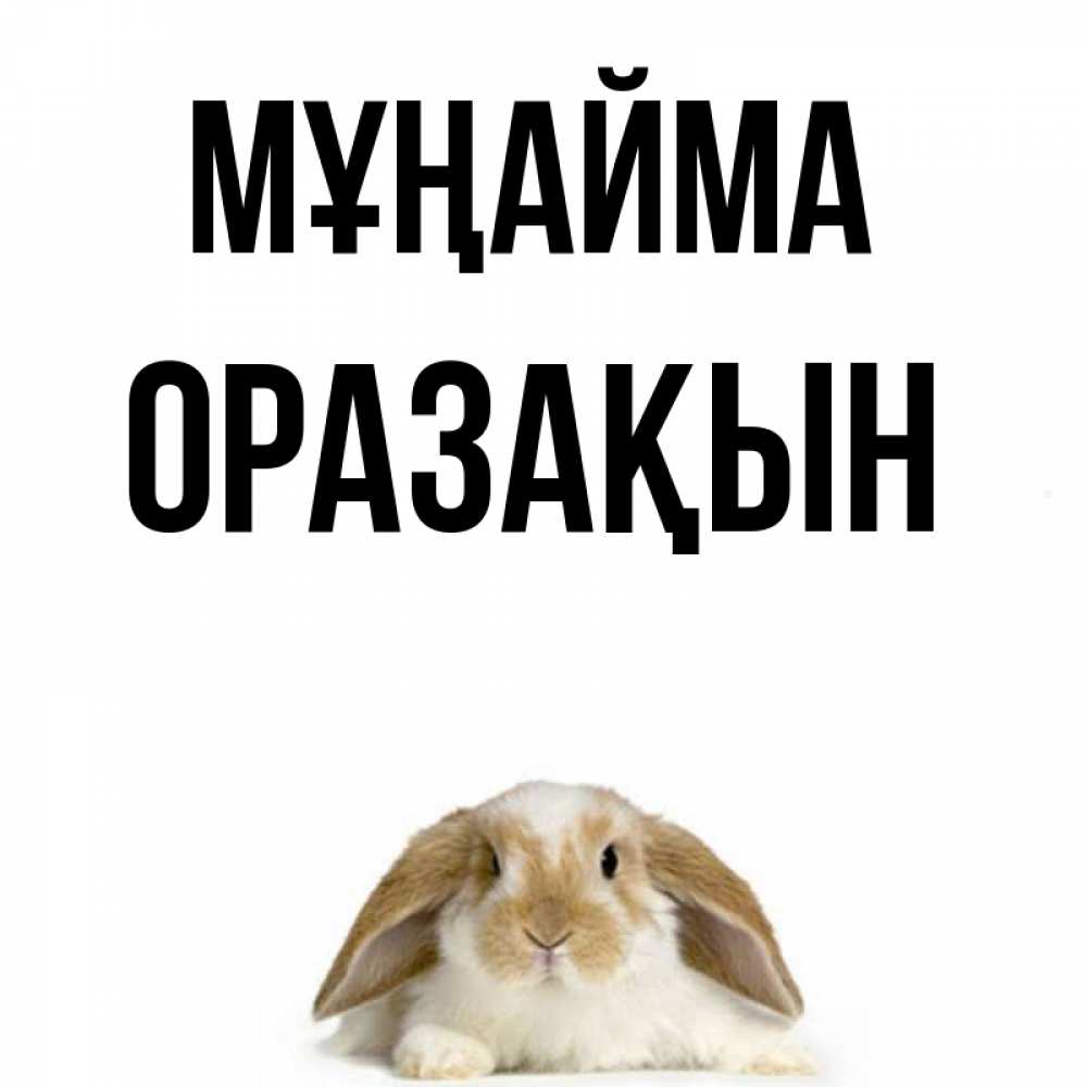 Күн сайын ашық хат с именем, ОРАЗАҚЫН Мұңайма коричнево белый заяц с большими ушками Онлайн тегін жүктеп алу тілектері бар керемет карта 