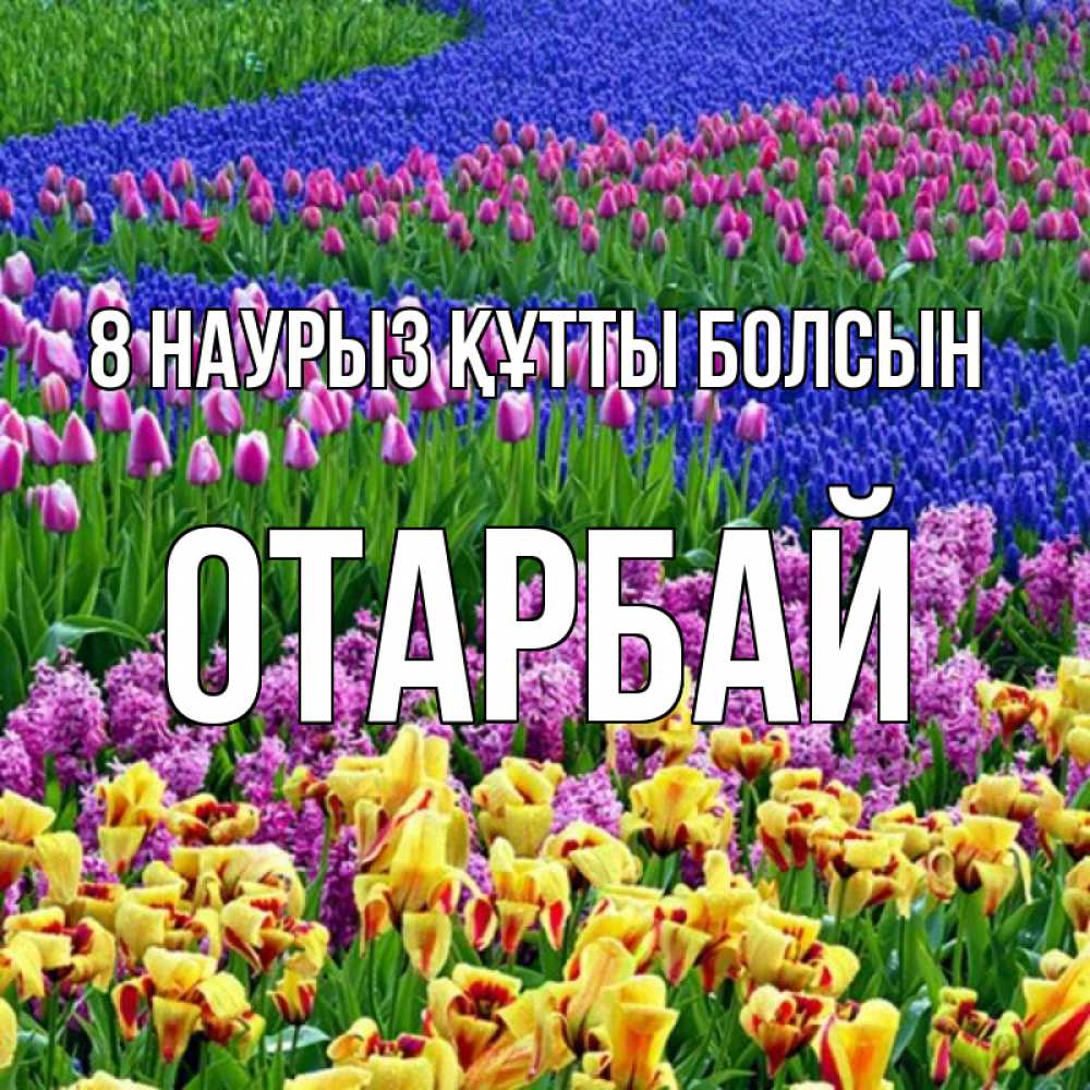Күн сайын ашық хат с именем, ОТАРБАЙ 8 наурыз құтты болсын цветы Онлайн тегін жүктеп алу тілектері бар керемет карта 