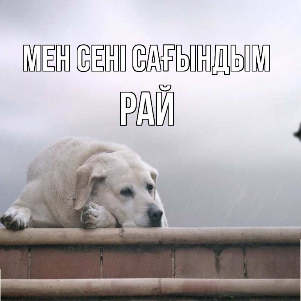 Күн сайын ашық хат с именем, РАЙ Мен сені сағындым ждет Онлайн тегін жүктеп алу тілектері бар керемет карта 