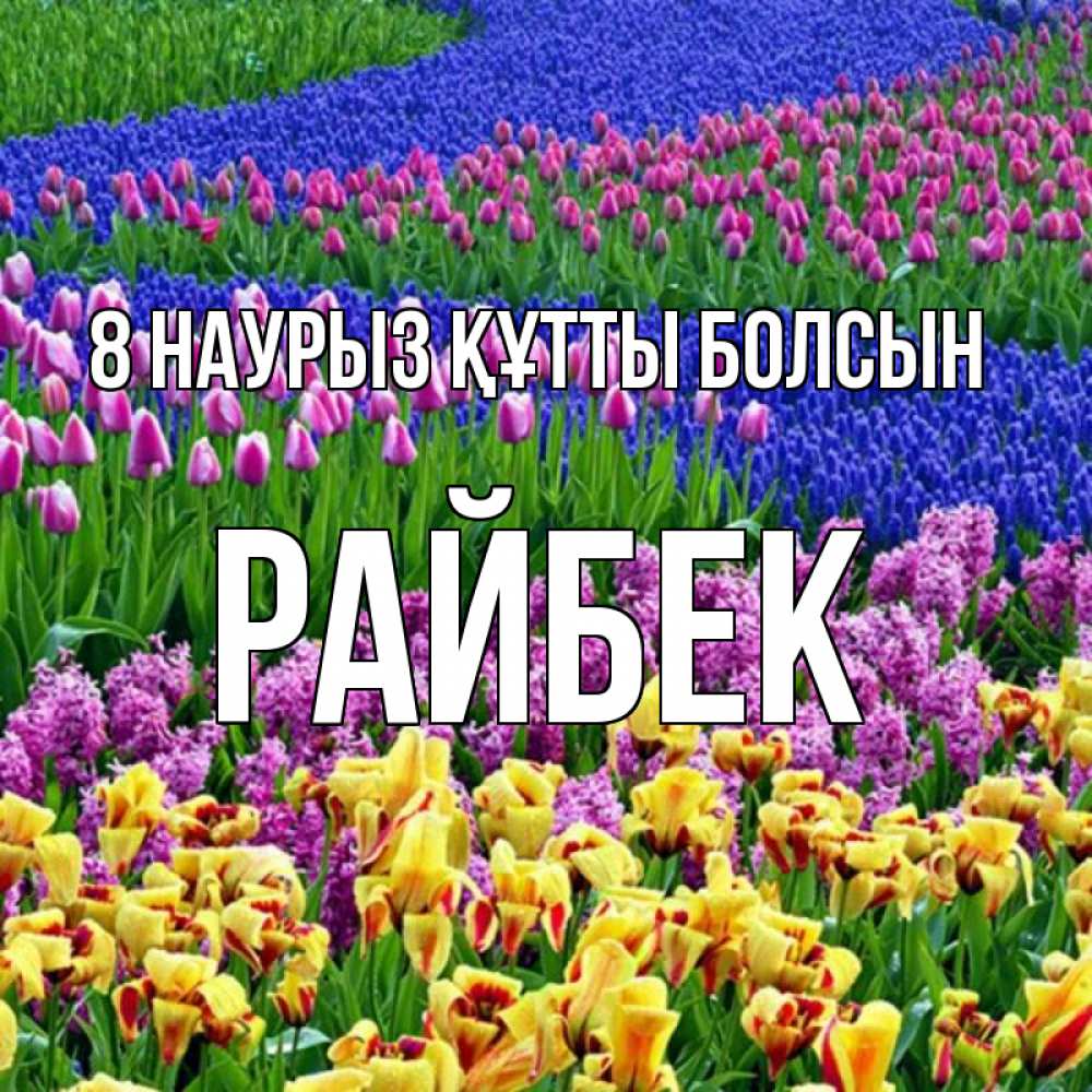 Күн сайын ашық хат с именем, РАЙБЕК 8 наурыз құтты болсын цветы Онлайн тегін жүктеп алу тілектері бар керемет карта 