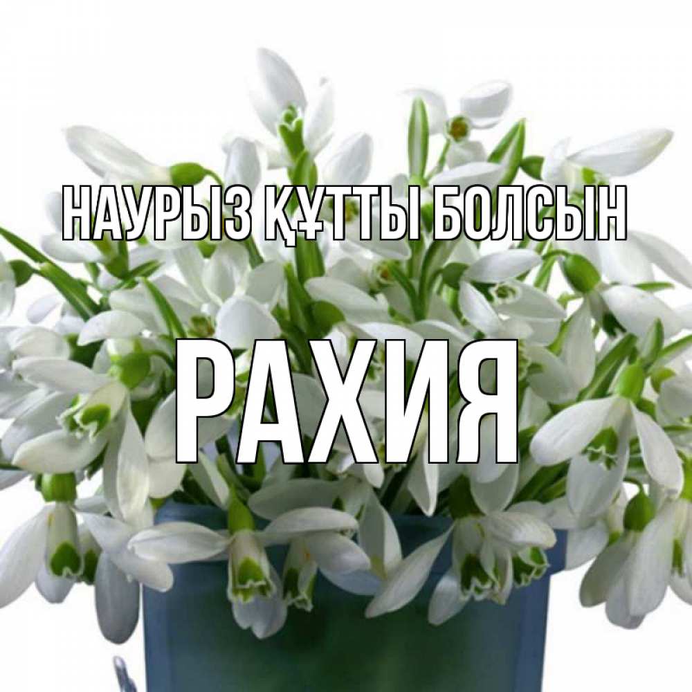Күн сайын ашық хат с именем, РАХИЯ Наурыз құтты болсын цветы к наурызу Онлайн тегін жүктеп алу тілектері бар керемет карта 