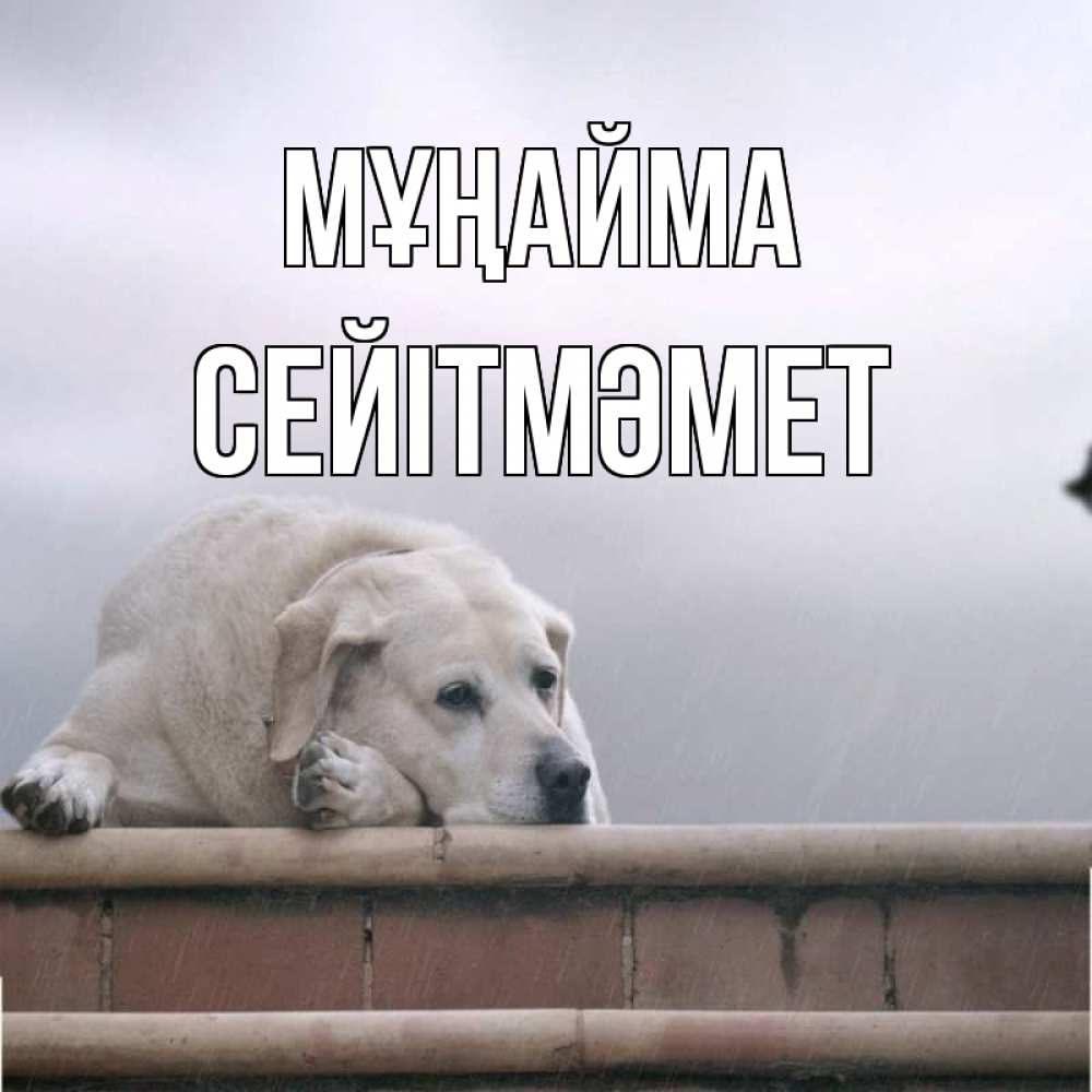 Күн сайын ашық хат с именем, СЕЙІТМӘМЕТ Мұңайма белый пес 1 Онлайн тегін жүктеп алу тілектері бар керемет карта 