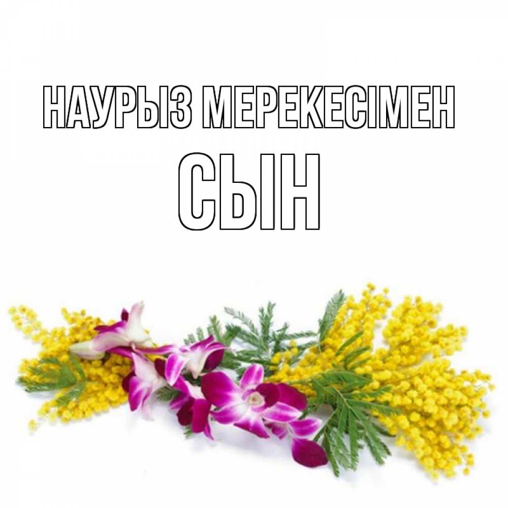 Күн сайын ашық хат с именем, Сын Наурыз мерекесімен открытка на международный женский день с цветами  1 Онлайн тегін жүктеп алу тілектері бар керемет карта 