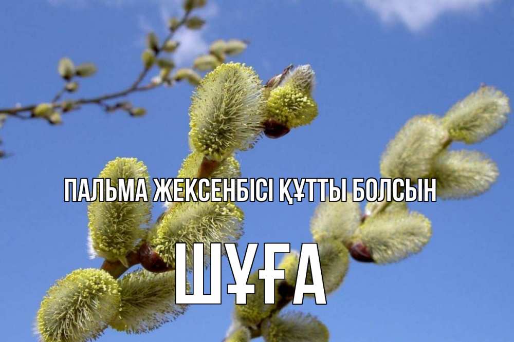Күн сайын ашық хат с именем, ШҰҒА Пальма жексенбісі құтты болсын верба Онлайн тегін жүктеп алу тілектері бар керемет карта 