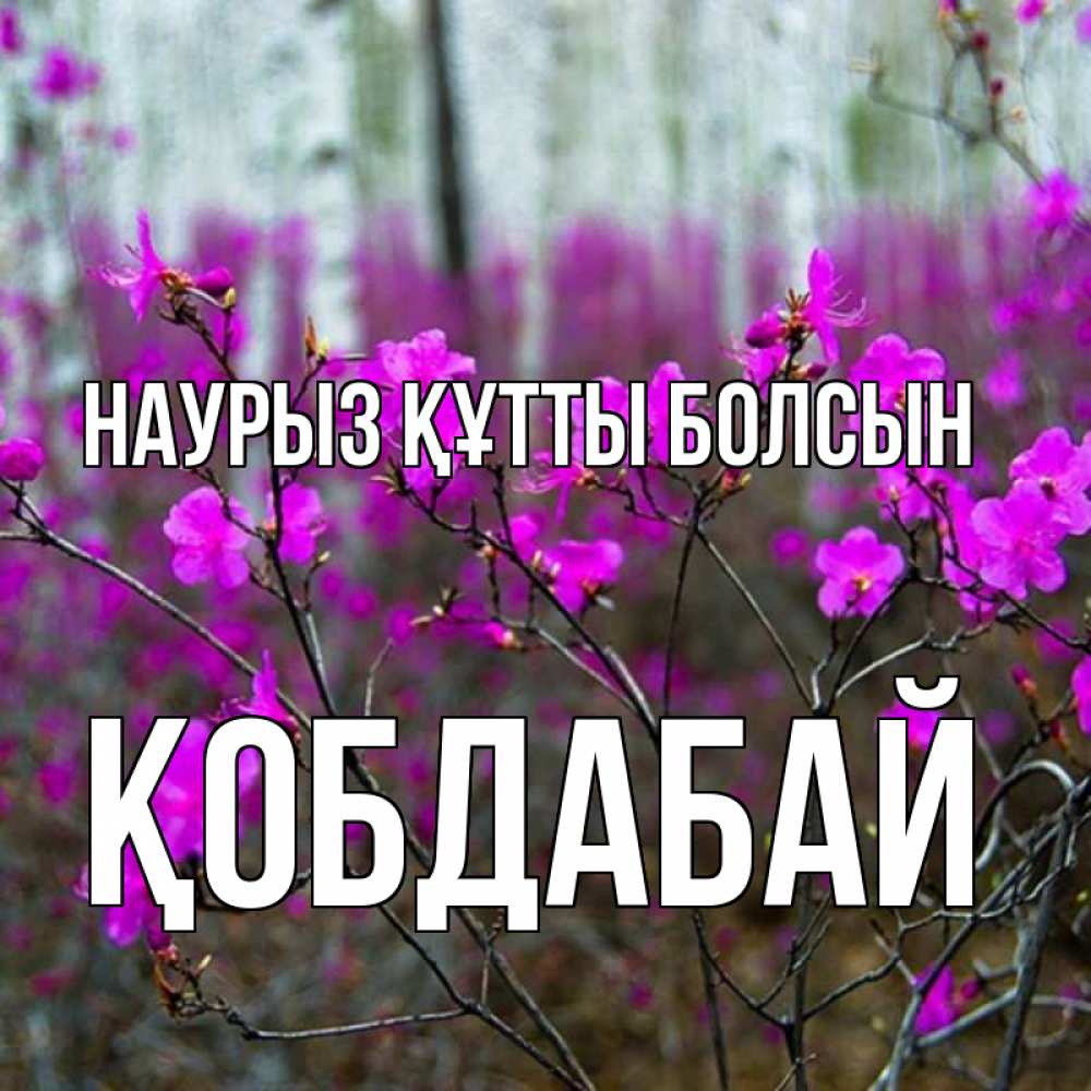 Күн сайын ашық хат с именем, Қобдабай Наурыз құтты болсын дикие цветы Онлайн тегін жүктеп алу тілектері бар керемет карта 